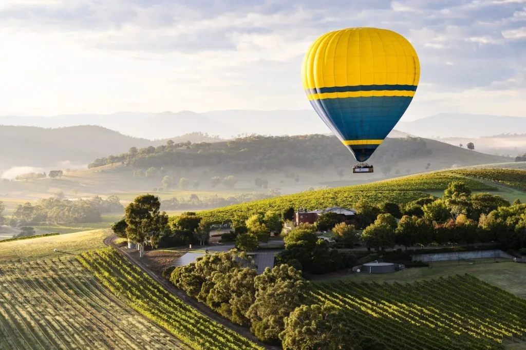 The Dandenong Ranges