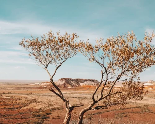 Kata Tjuta