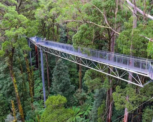 tours in melbourne