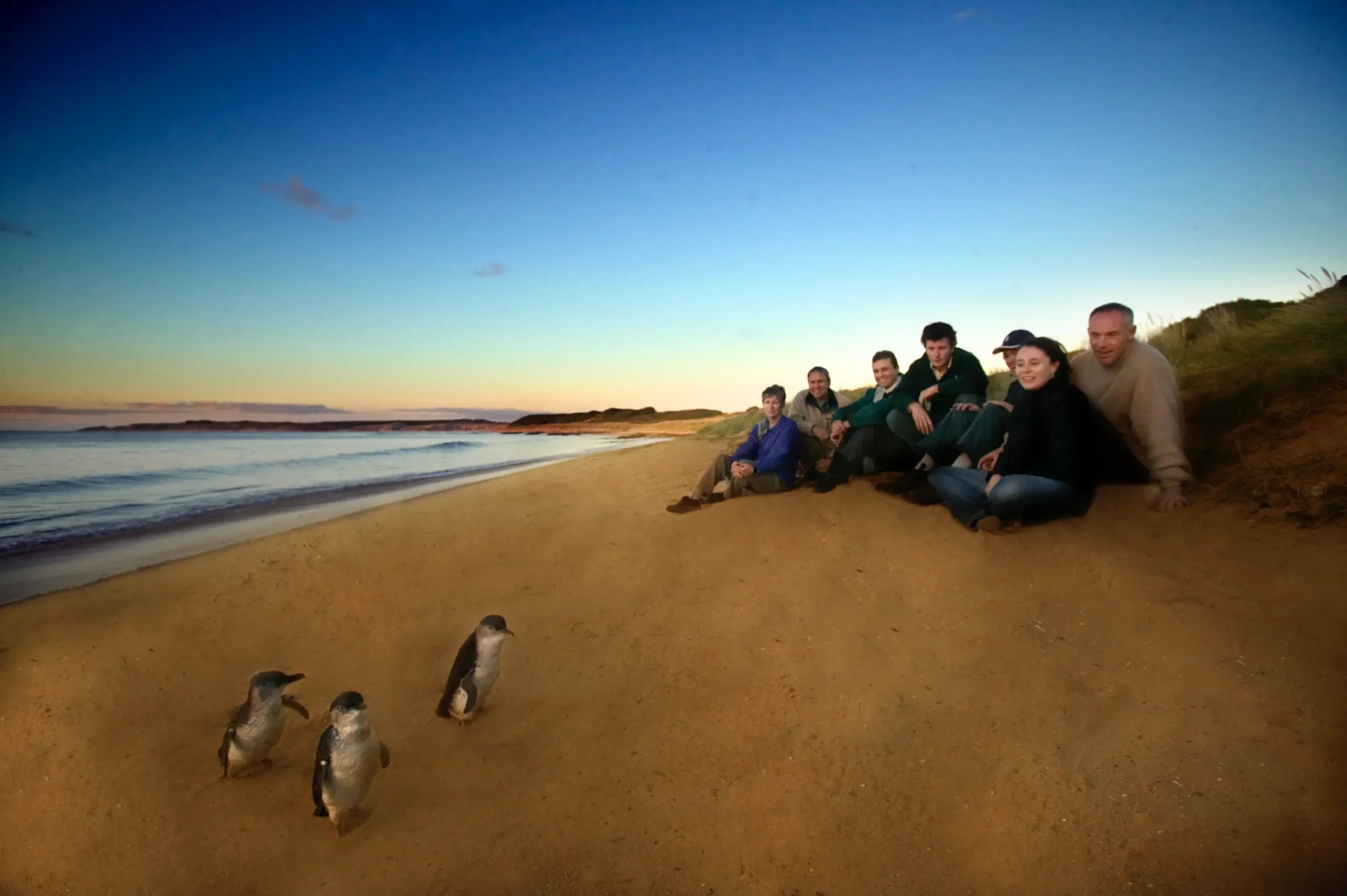 day trip to phillip island