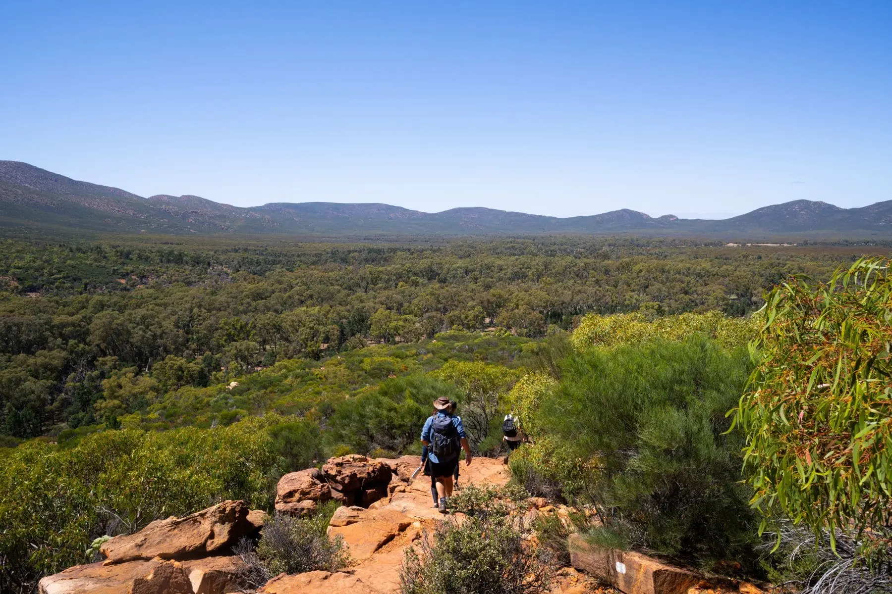 tour uluru from alice springs