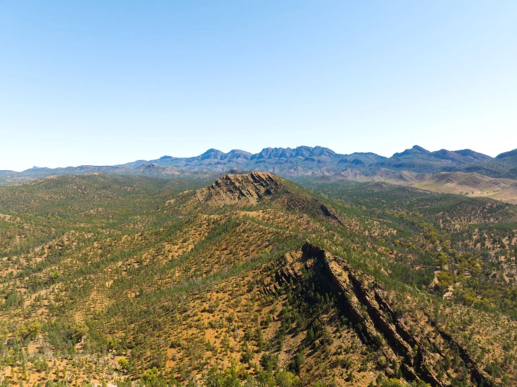 alice springs to uluru tours