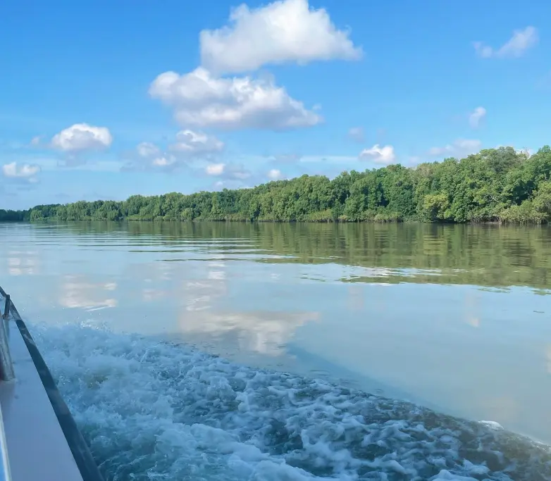 adelai river croc tours