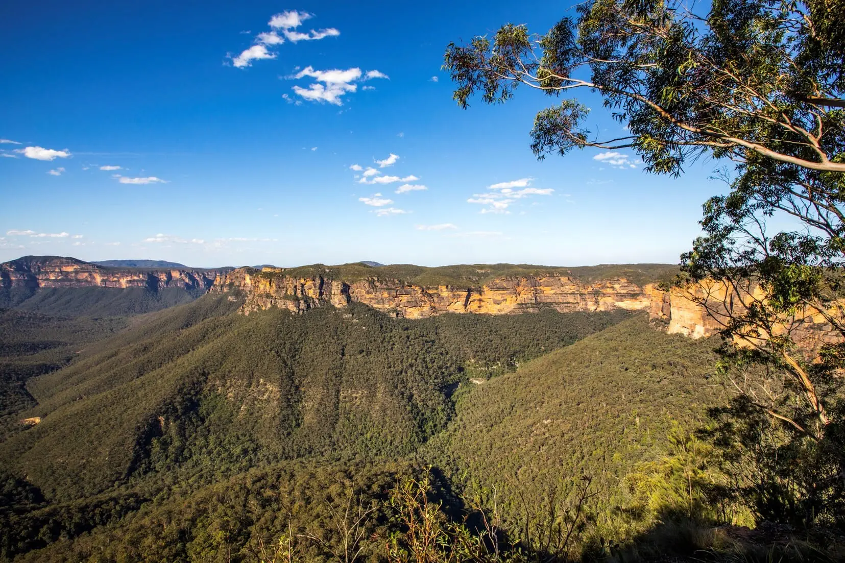 blue mountains day trip
