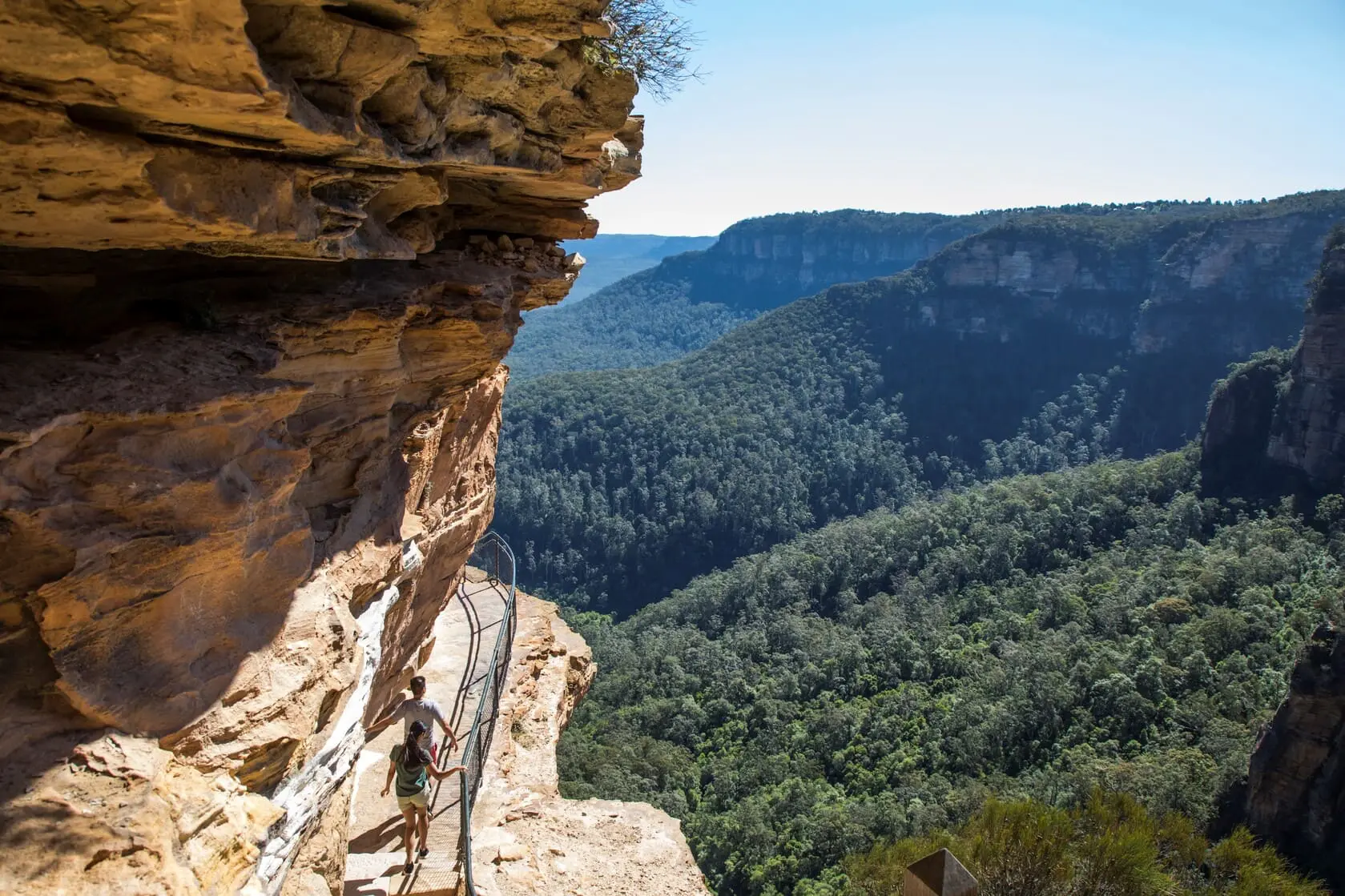 blue mountains day tours