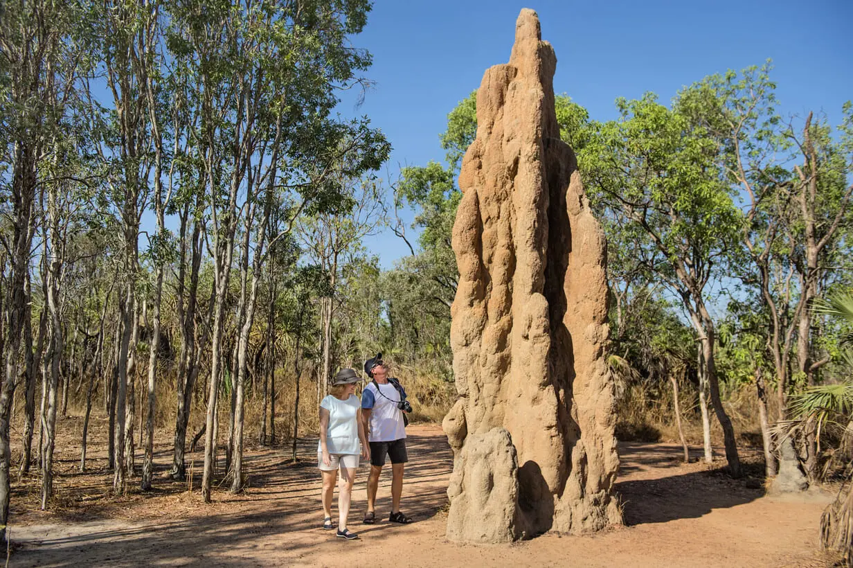 litchfield tours
