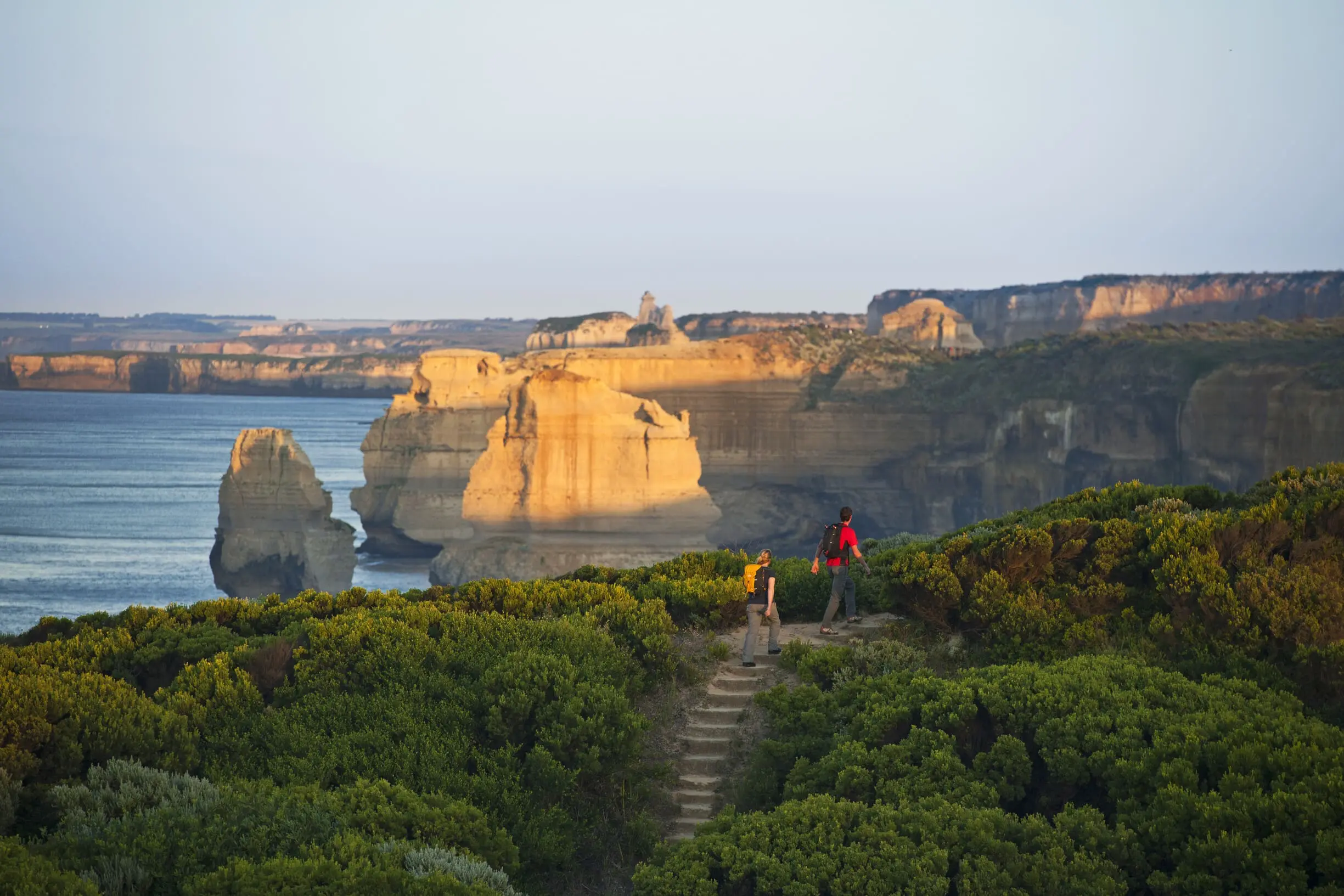 great ocean road day tour
