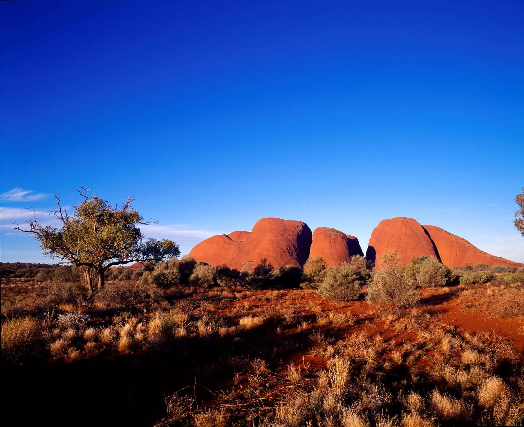 uluru trips