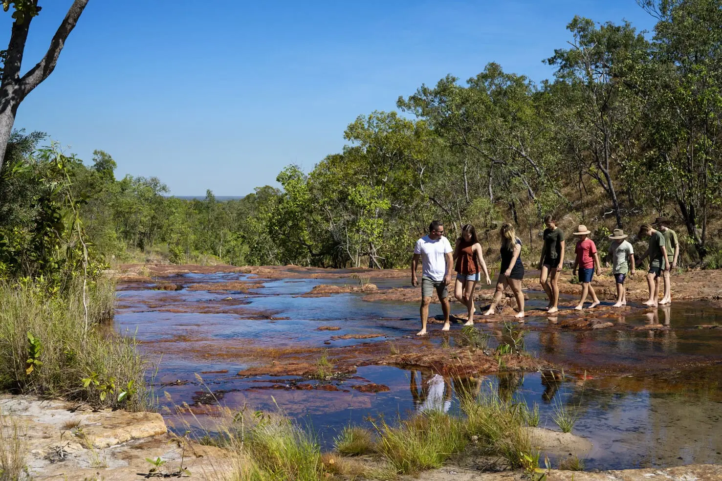 darwin litchfield tours