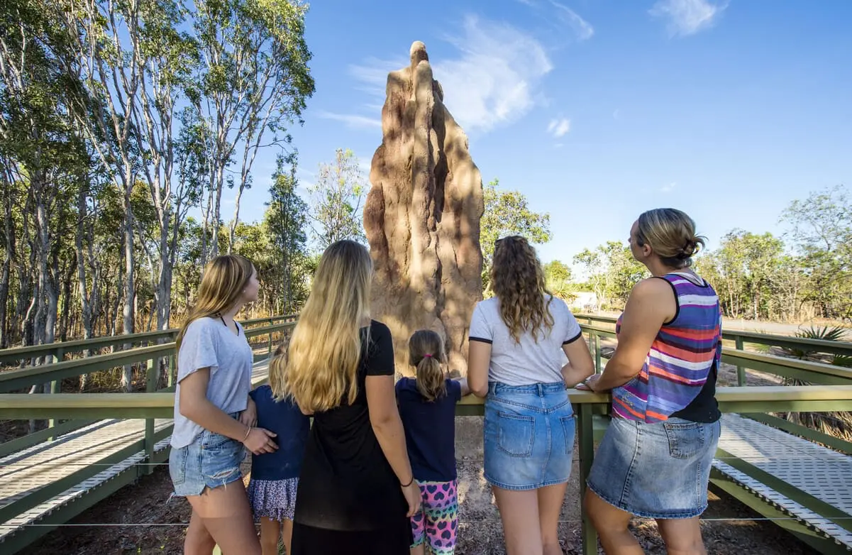 darwin to litchfield tours