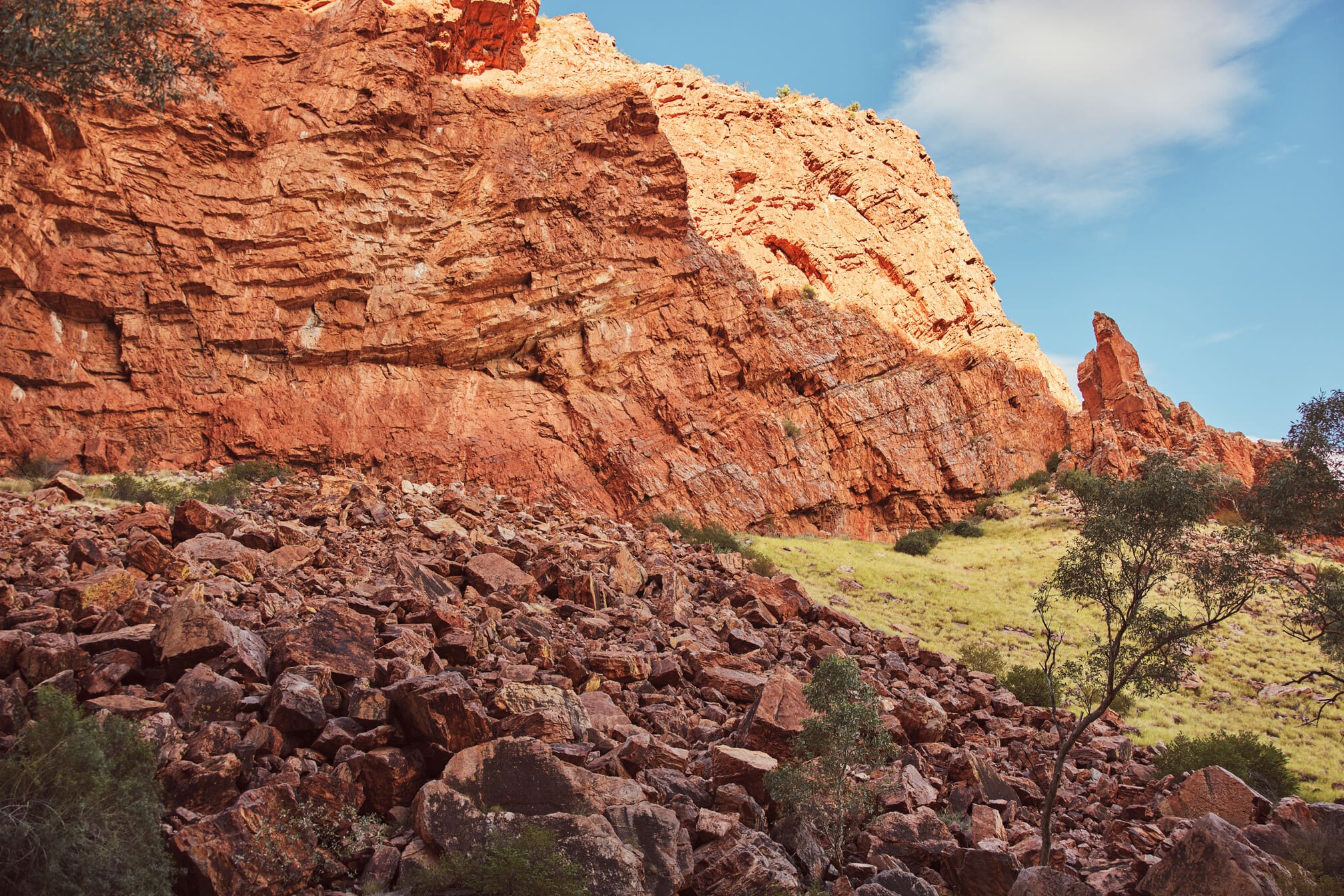 uluru to alice springs tour