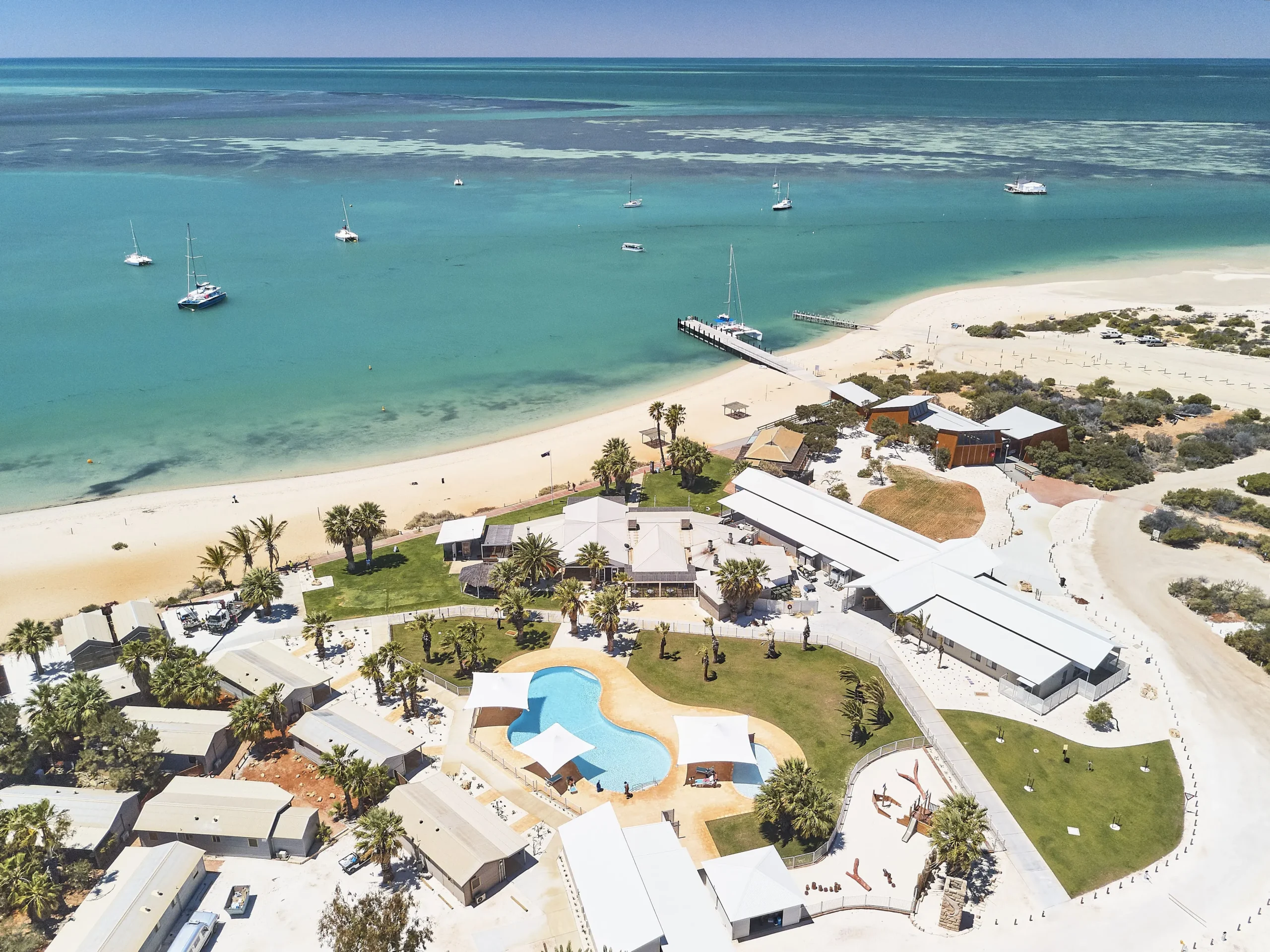 whale shark tour exmouth