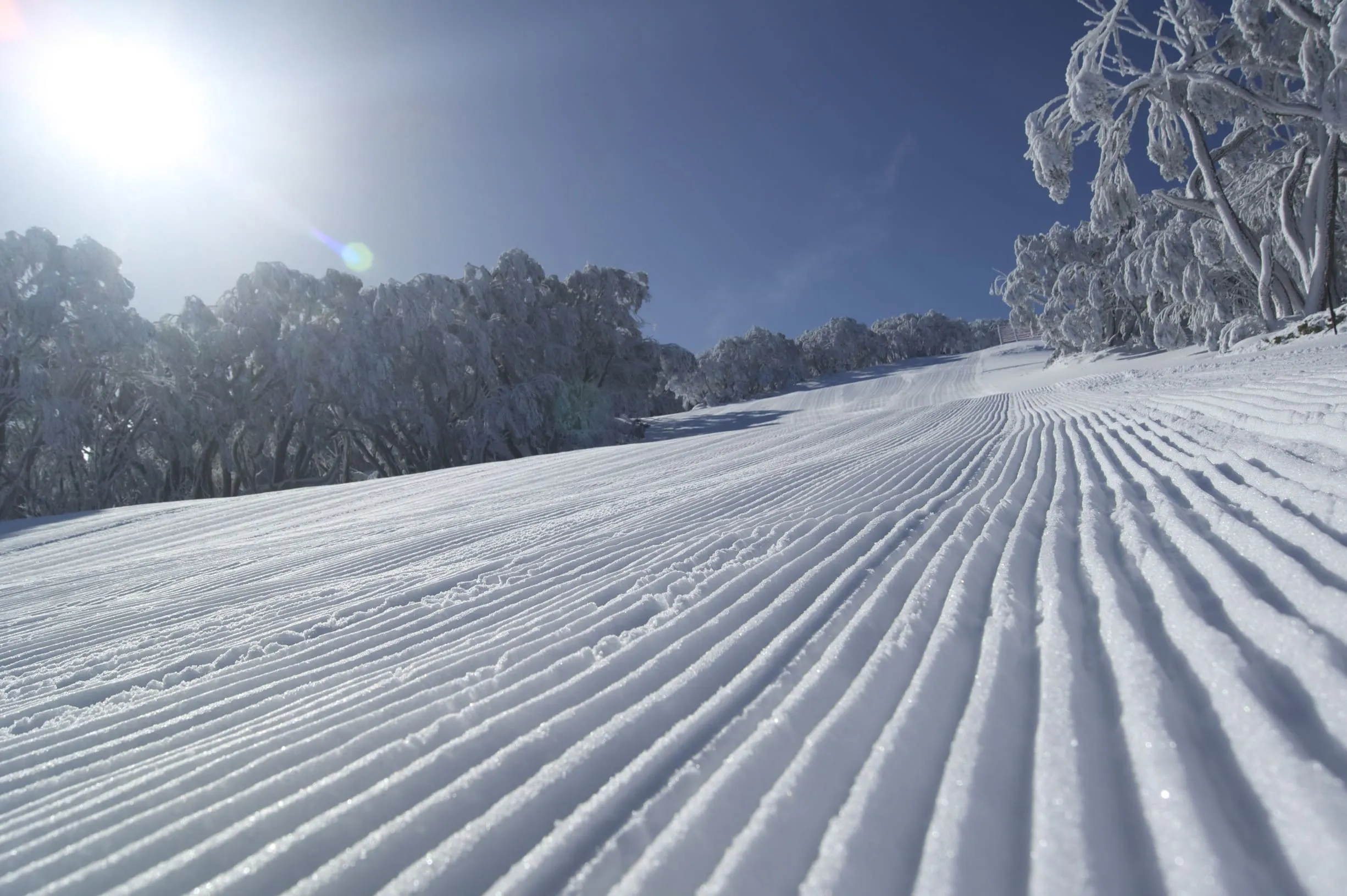 snow trips nsw
