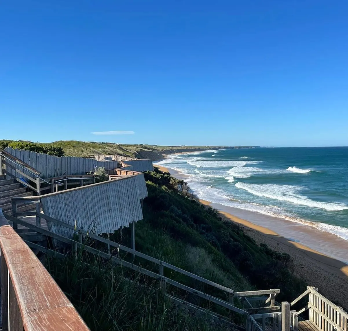 otway discovery great ocean road tours