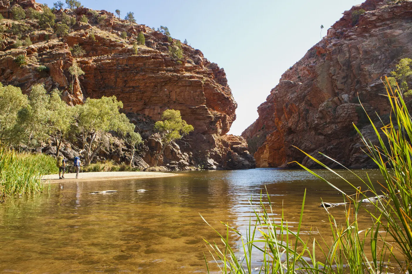 west macdonnell ranges full day tour