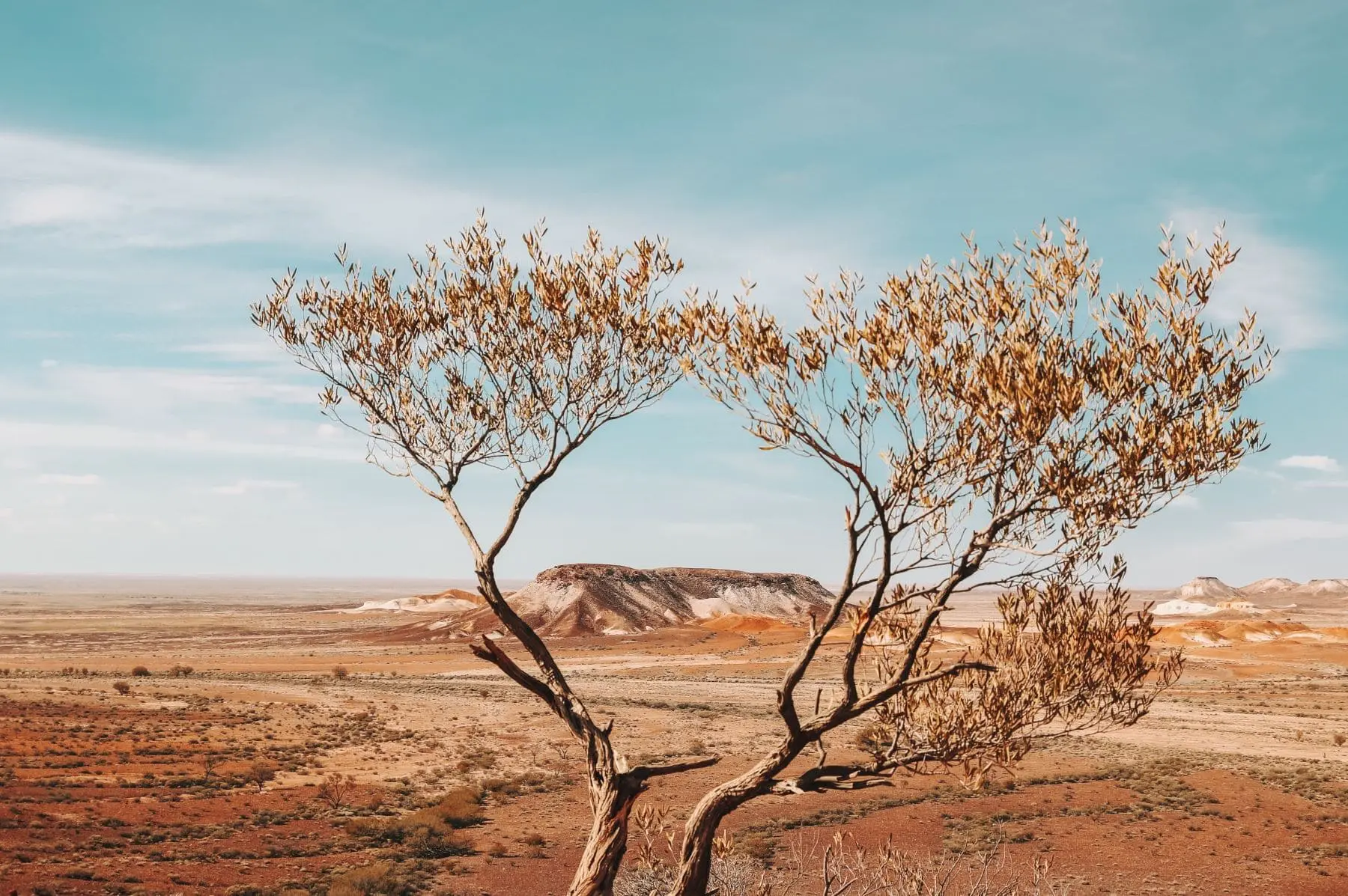 Kata Tjuta