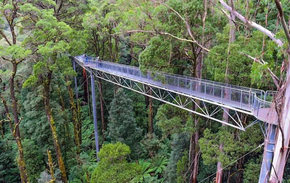 tours in melbourne