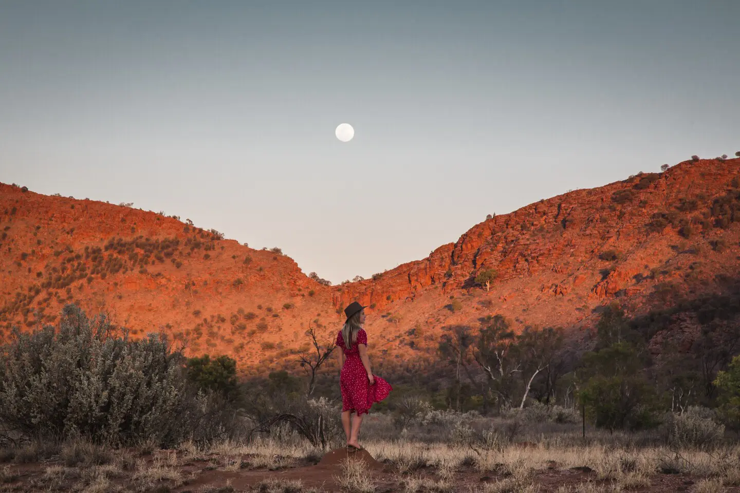 west macdonnell ranges day tour