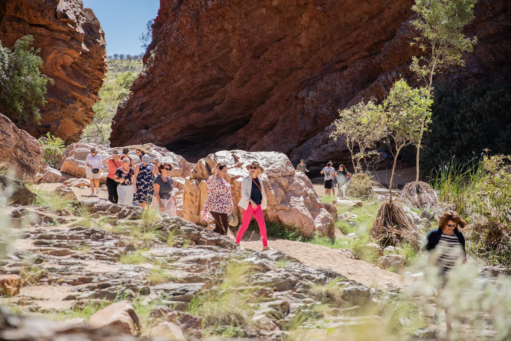 west macdonnell ranges half-day tour