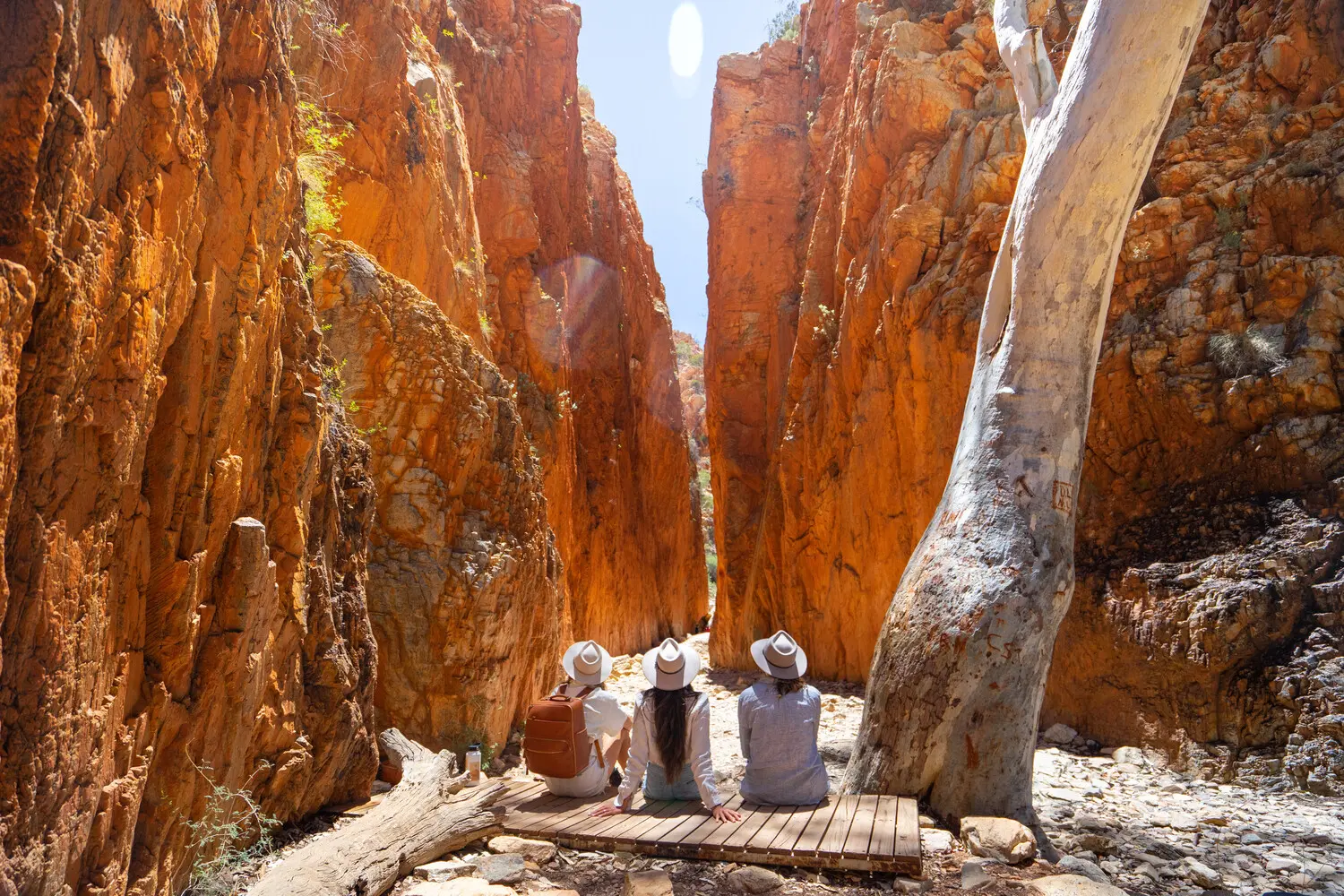 1 day west macdonnell ranges tour