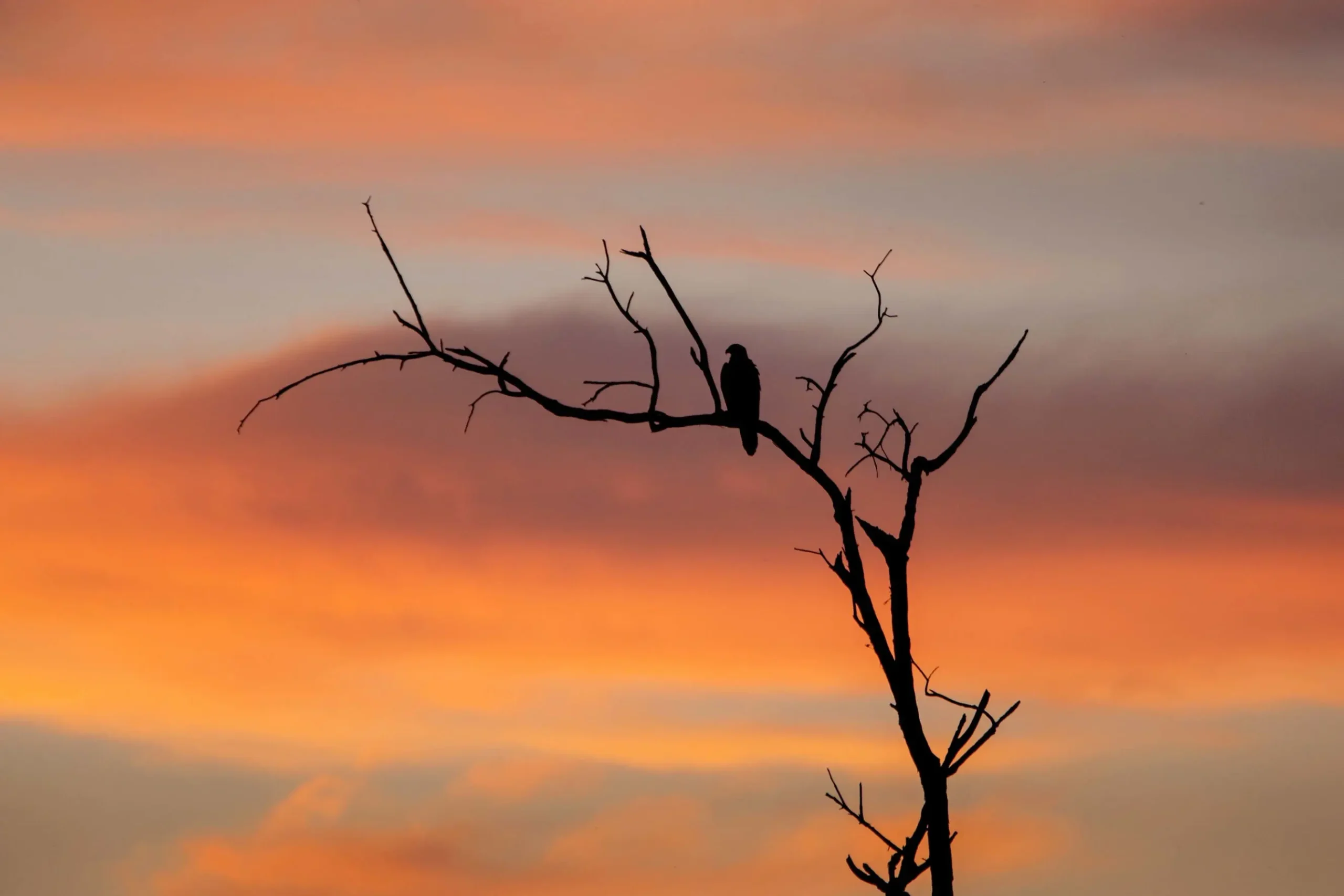day trips from darwin to kakadu