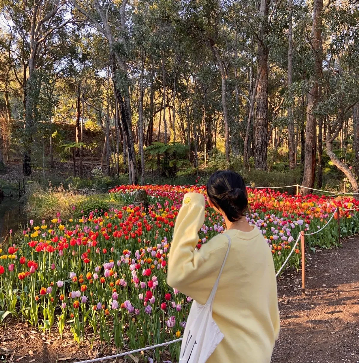 Araluen Botanic Park