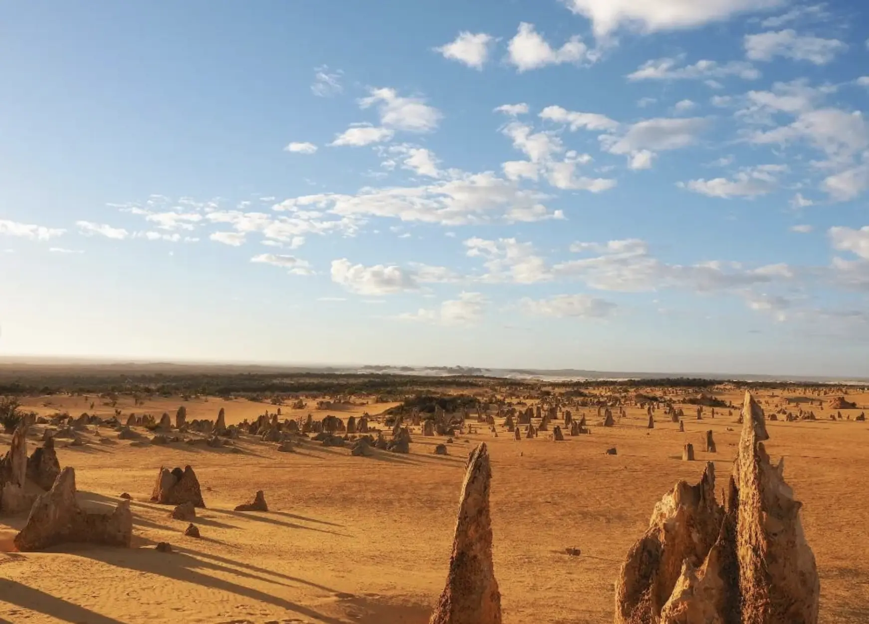 Pinnacles Desert