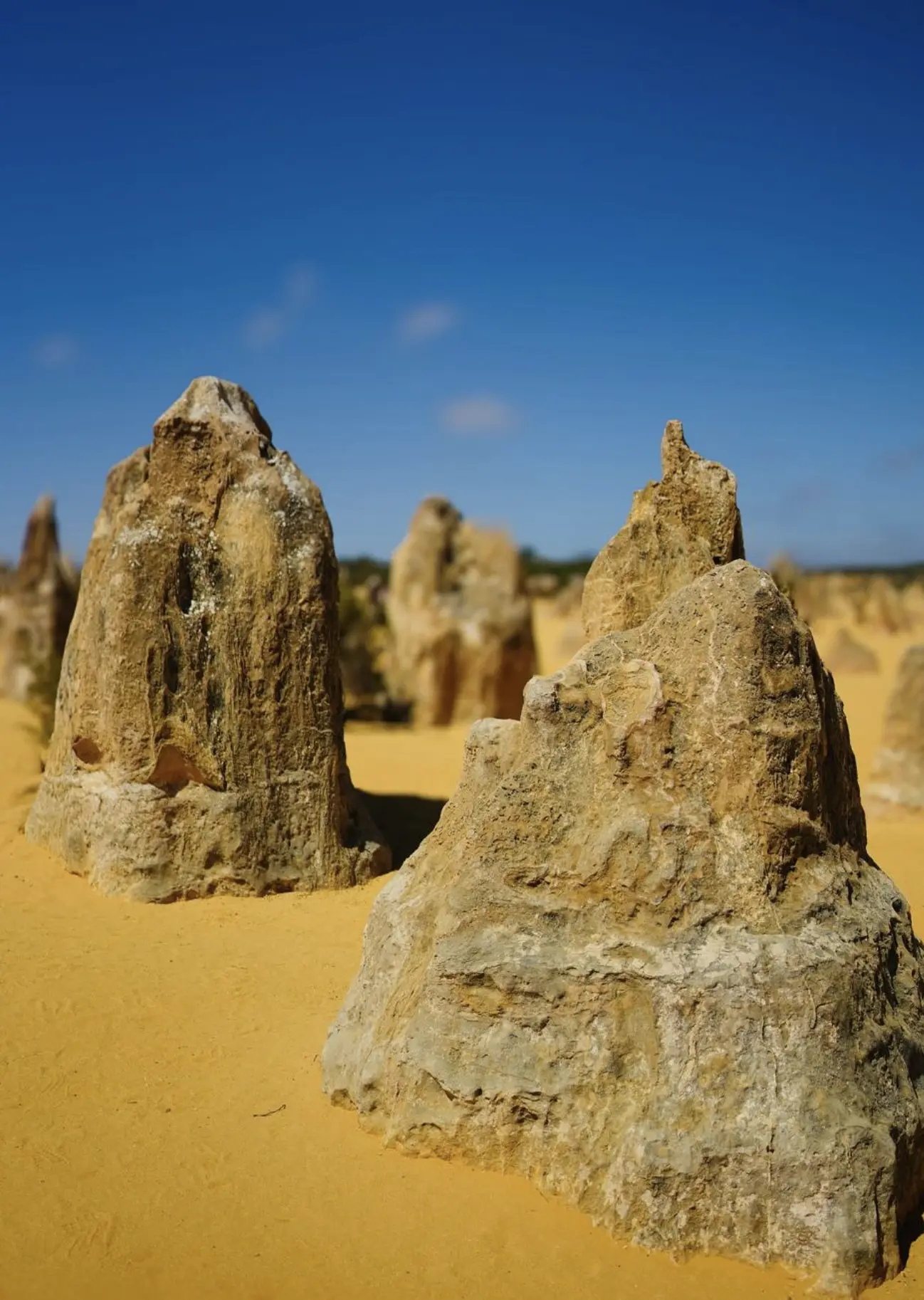 Western Australia