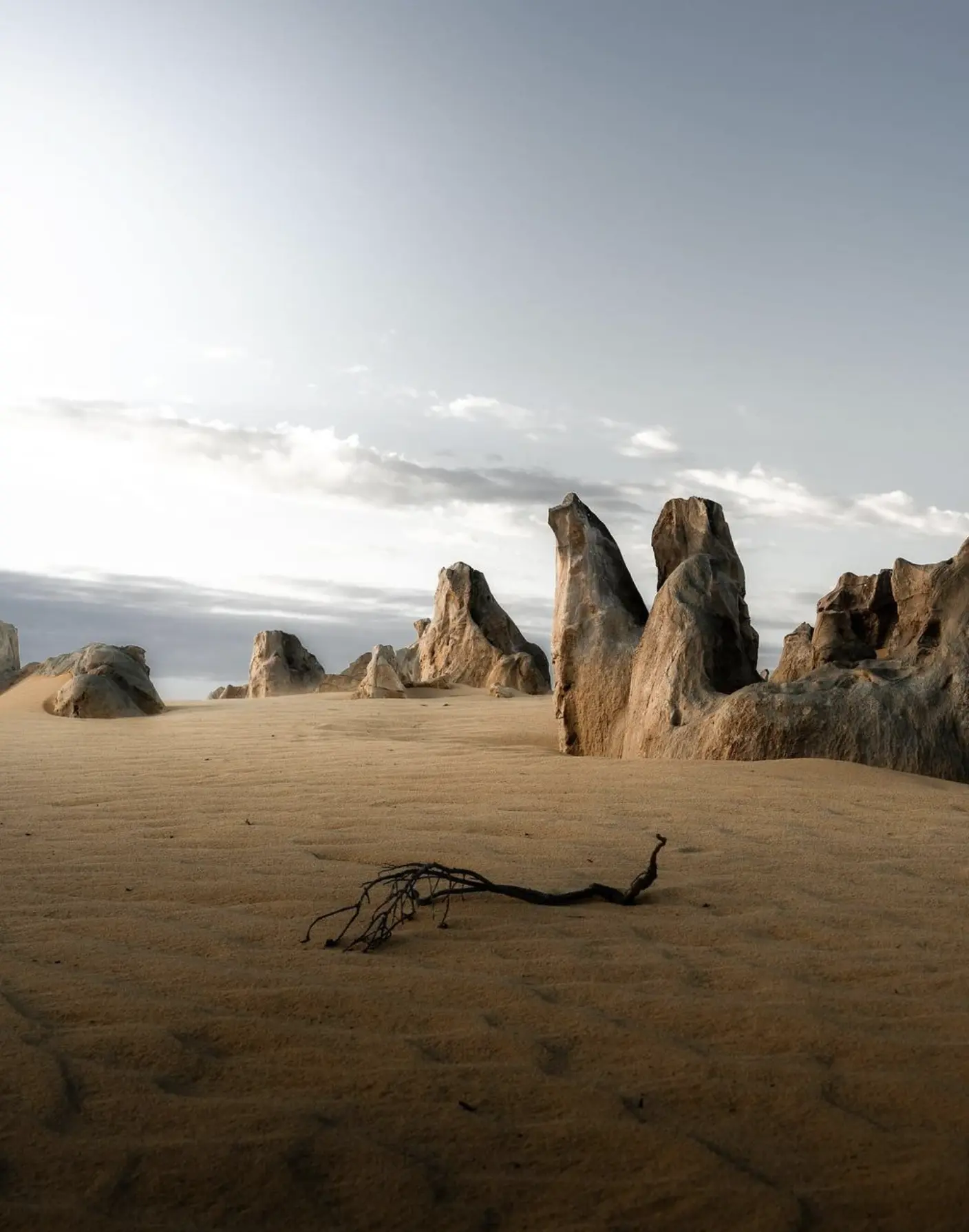 pinnacle desert tour
