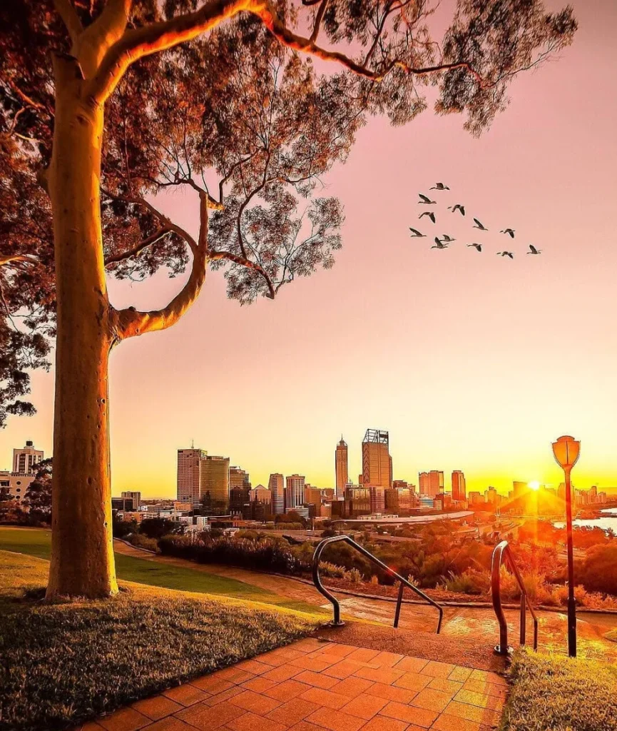 Kings Park and Botanic Garden