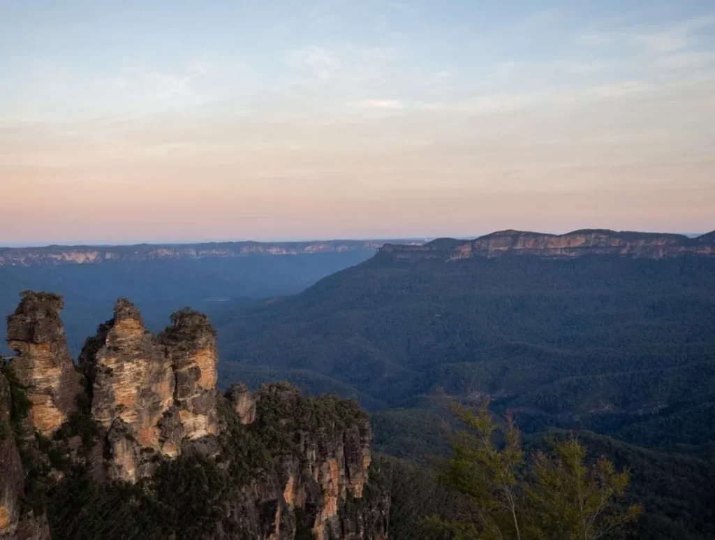 Unique wildlife and plant species in the Blue Mountains