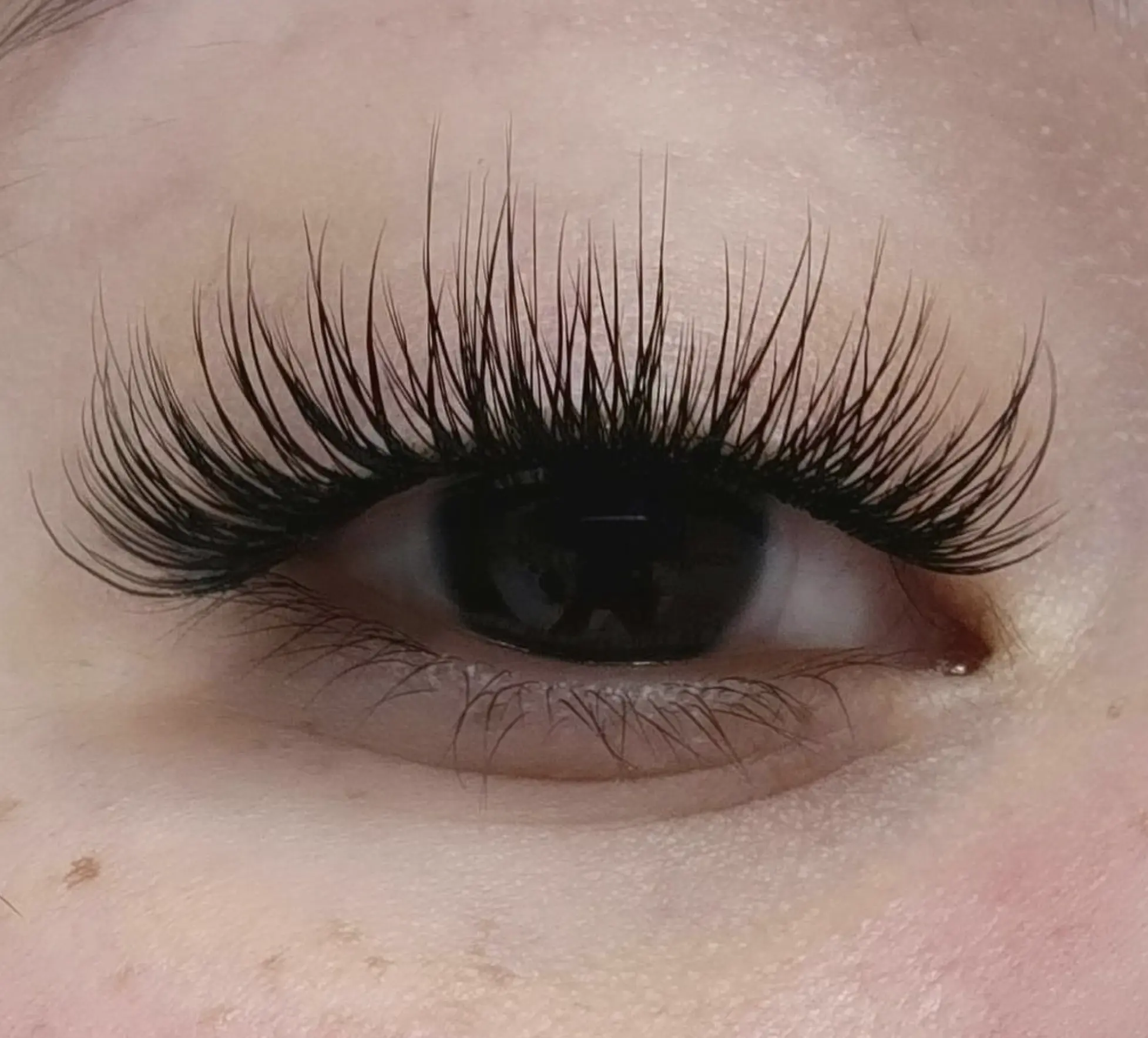 Lash Extension Courses Brisbane