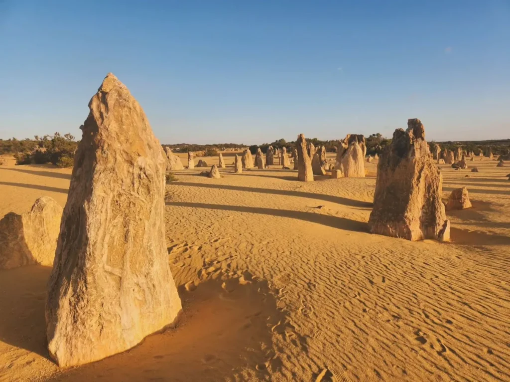How Old Are the Pinnacles in WA