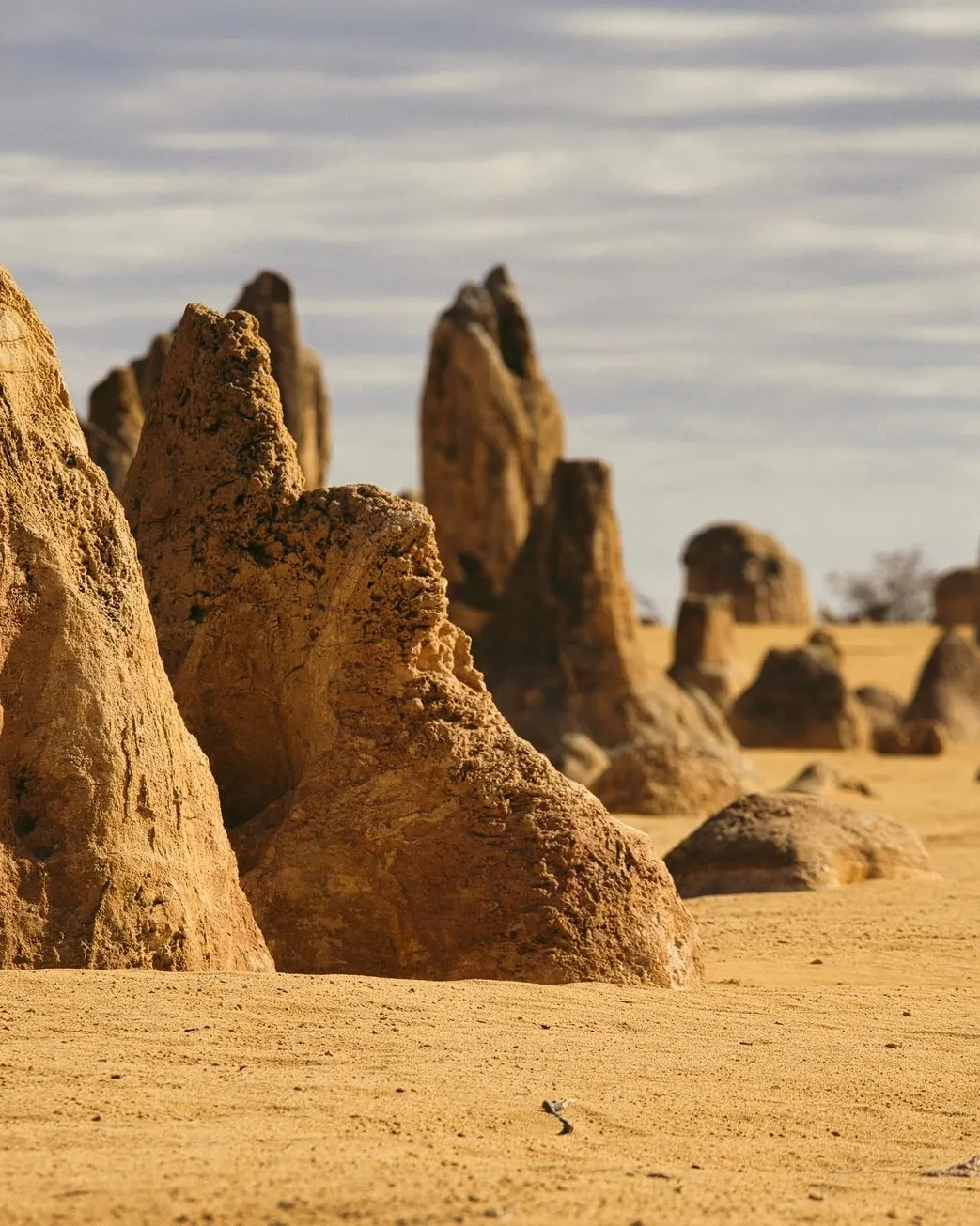Pinnacles Desert