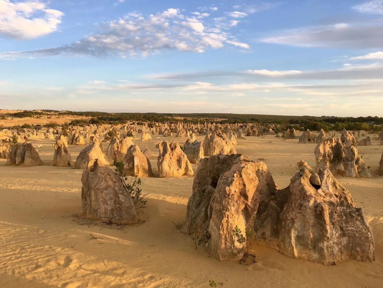 Pinnacles Tour