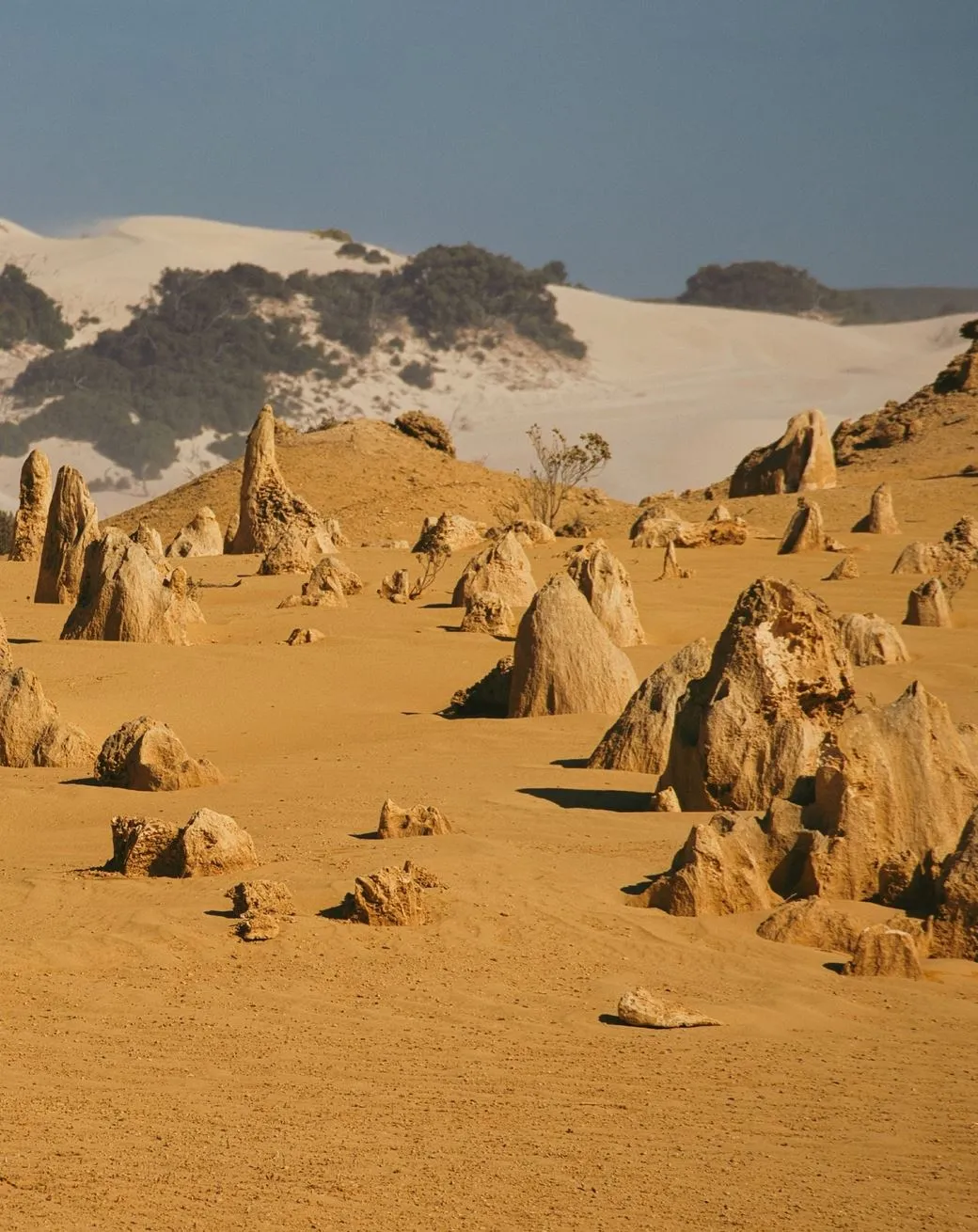 Pinnacles Tours