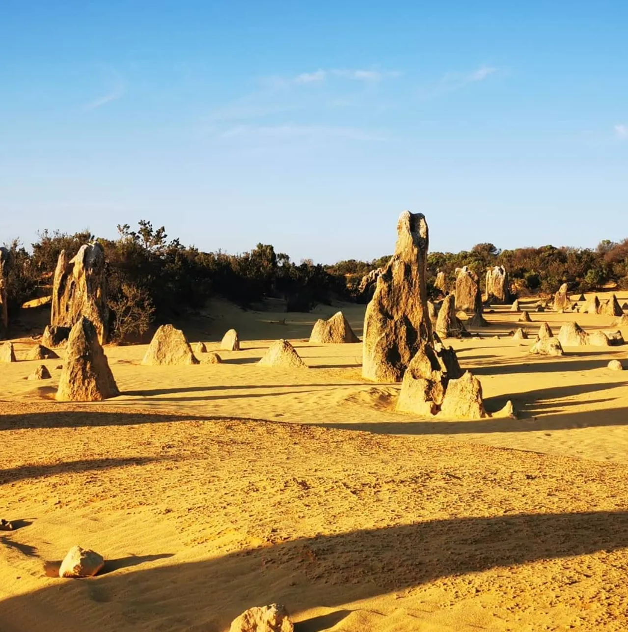 Reading the Rocks, Scientific Clues and Dating Techniques