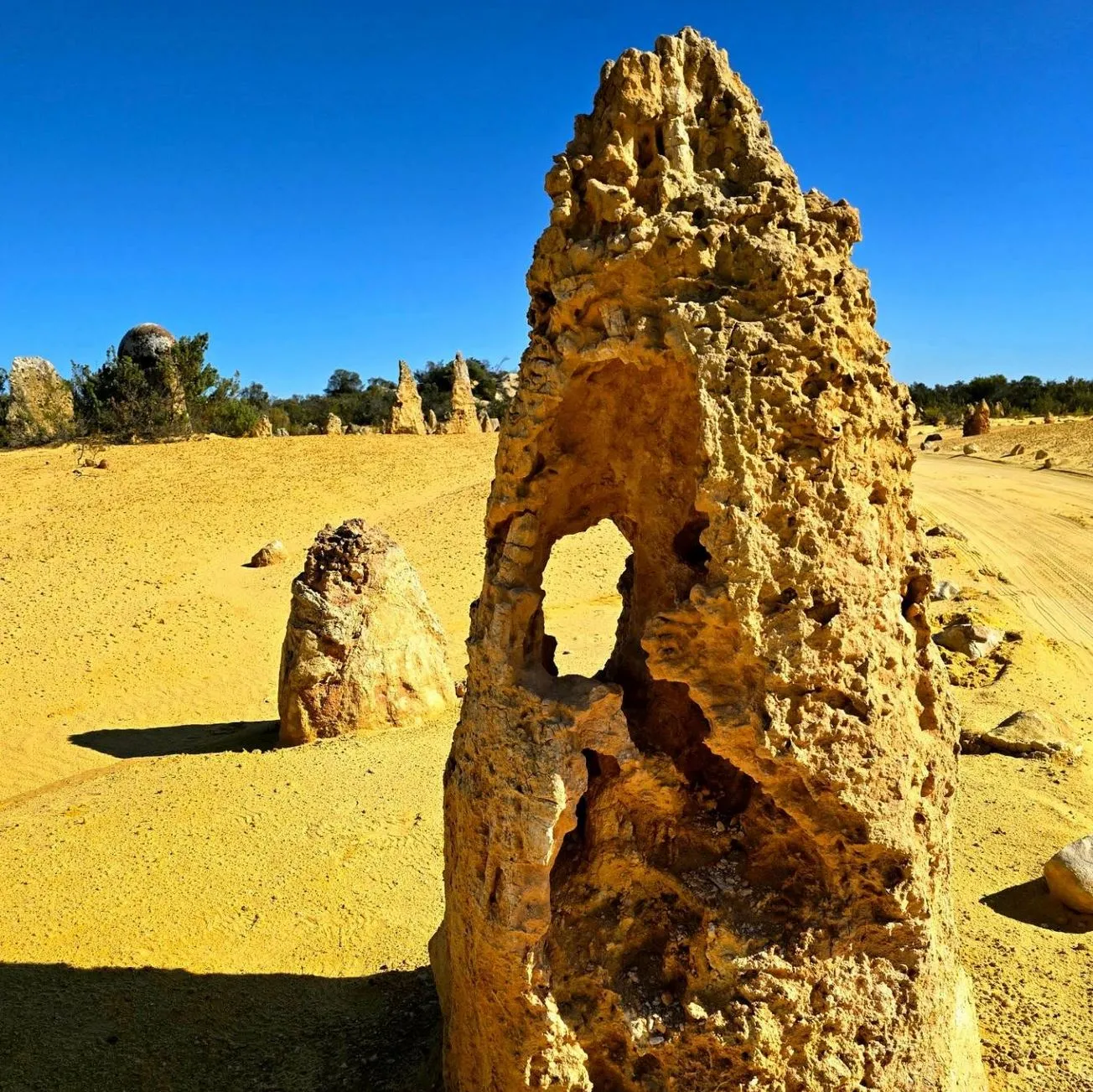 The Desert Landscape, More Than Meets the Eye
