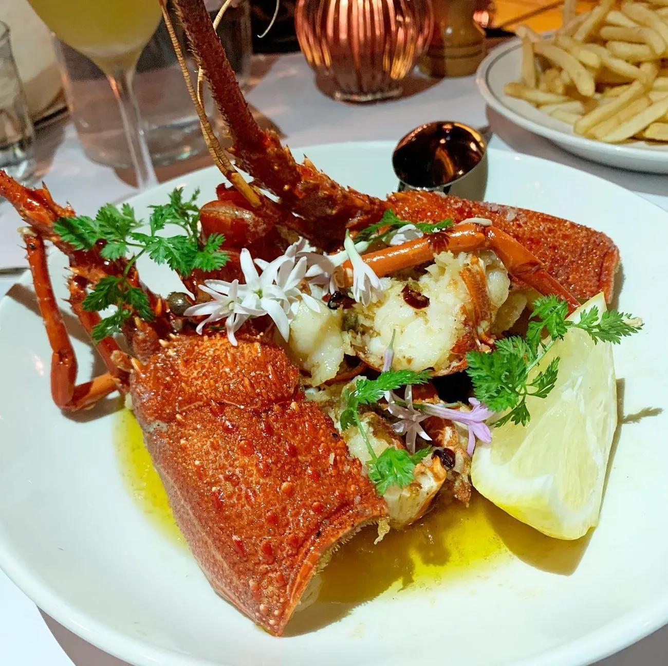 Western Rock Lobster