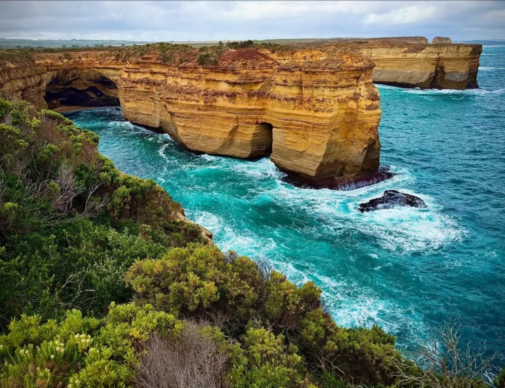 Great Ocean Road wildlife spotting